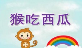 吃瓜网在线观看视频 吃瓜ppt,揭秘吃瓜PPT背后的精彩故事