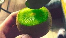 抖音网红吃瓜泄密 吃瓜爆料,吃瓜泄密背后的娱乐圈风云