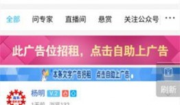 热点爆料功能 体育圈的天花板,揭秘热点爆料背后的传奇故事